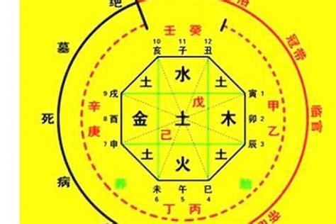 免費算五行喜用神|八字喜用神在线查询器,五行喜什么查询免费